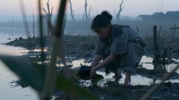 探寻「燕」之诗韵:领略生命坚韧与希望之美