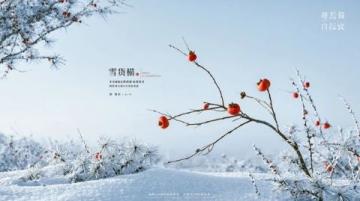 2026年暖心祝福句子精选,实用百搭,能用的直接拿走收藏