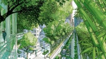 打造森林城市:融合自然的梦想与实践