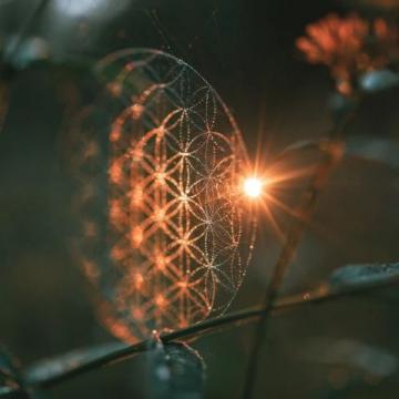 阳光般温暖的灵魂:感激那份照亮我心灵之路的关爱