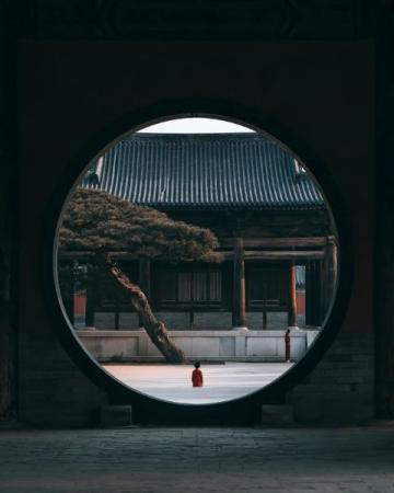 智慧岂止是名言警句?它绝非简单的口号,而是需要实践与思考的真谛