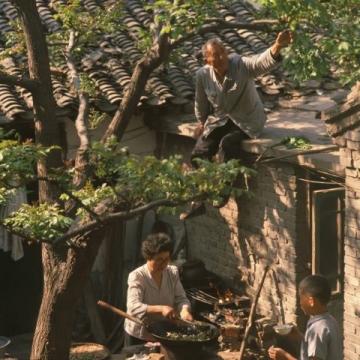 绿豆糕里的祖母情,盛夏记忆中的那份甜,时光里最质朴的家常味道